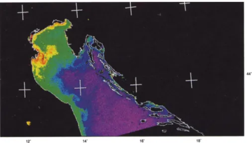 Fig. 7 Coastal features due to coastal and fluvial runoff in the northern Adriatic Sea [17].