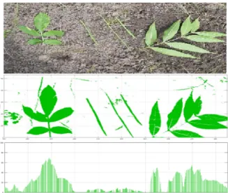 Figure 4: Measurement results for plant-soil distinc- distinc-tion by setting corresponding trigger levels: camera  signal (top), visualized output of the processed  Im-Spector signal (middle), weed population in percent  (bottom)