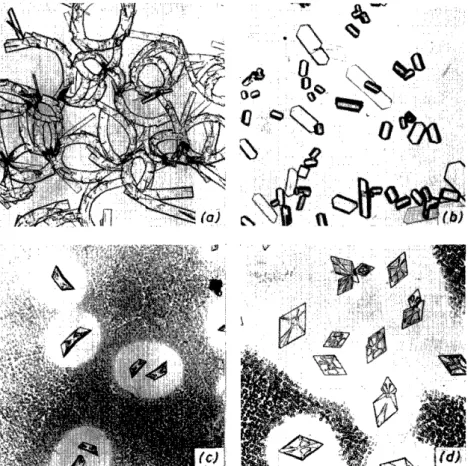 Figure  2 . .  \ublimates of prominal 