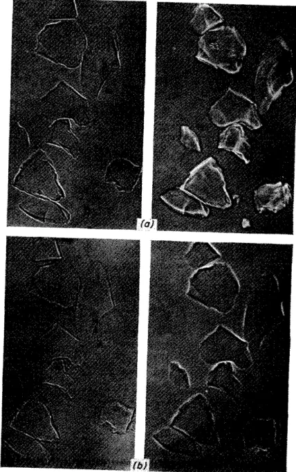 Figure  5.  Glass  particles  in  a  melt,  (lift)  Becke-line,  (right)  phase  index of the melt is  (a)  higher, (b)  lower than the glass  contrast