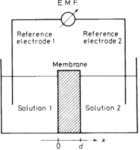 Figure 1.  Schematic representation  of a  membrane electrode assembly.  In  practical applications  only the composition of solution  l  (aqueous sample solution) is  varied