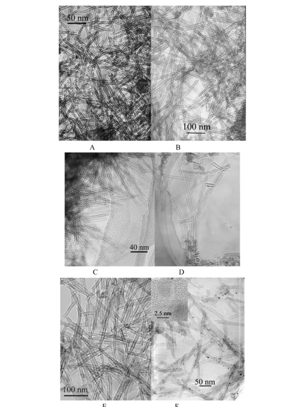 Fig. 14 (A) TEM images of CuSiO 3  2H 2 O nanotubes; (B) TEM images of Mg 3 Si 2 O 5 (OH) 4 nanotubes; (C) TEM images of barium silicate nanotubes; (D) TEM images of calcium silicate nanotubes; (E) TEM images of cadmium silicate nanotubes (adapted from [42