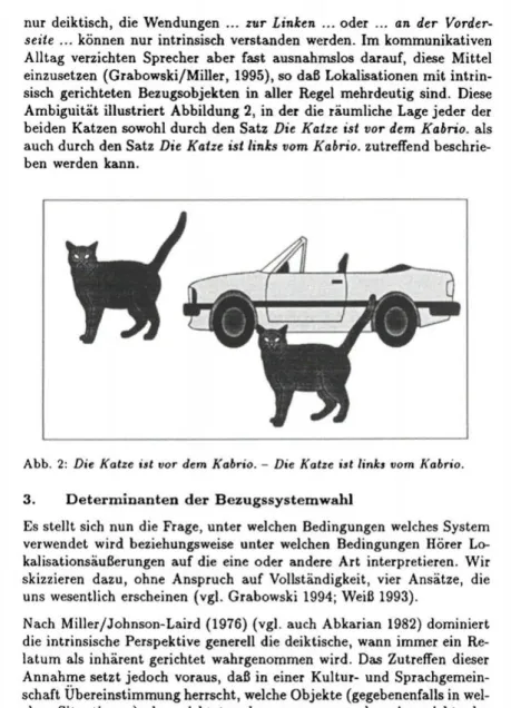 Abb. 2: Die Katze ist vor dem Kabrio. - Die Katze ist tinks vom Kabrio. 