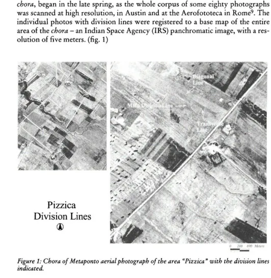 Figure 1: Chora of Metaponto aerial photograph of the area &#34;Pizzica&#34; with the division lines  indicated