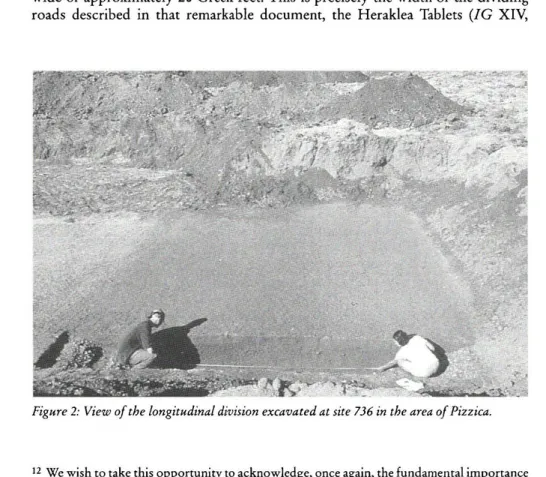 Figure 2: View of the longitudinal division excavated at site 736 in the area of Pizzica
