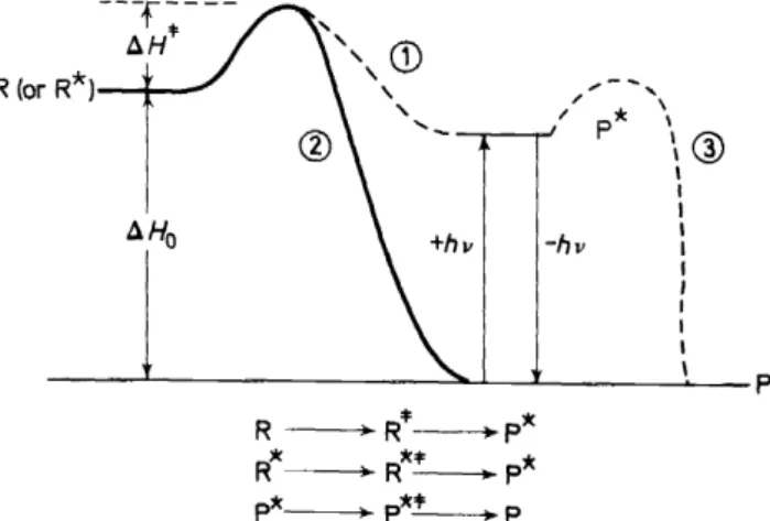 Figure  4.  Schematic description  of processes  involving formation  of products  in  electronically  excited states