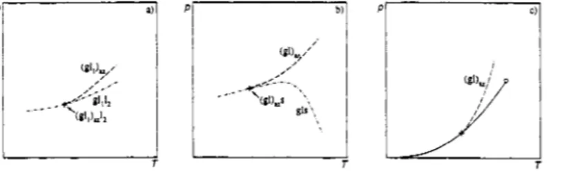 Fig. 3.  Azeotropic endpoints. (a)  (gll)&amp;.  (b)  s(gl),.  (c)  Limiting azeotrope  -  -  -  -  -  - -  :  three-phase curves; 