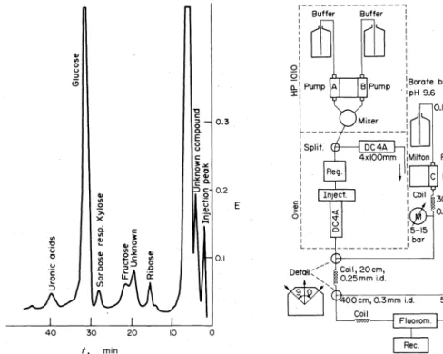 Figure 4 shows the functional  diagram of the arnino acid  analyzer. 