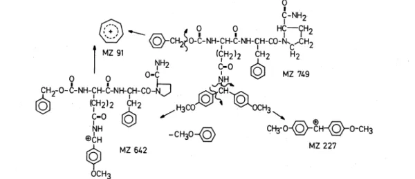 Fig.  11.  Fragmentation pattem of the-field  desorption  mass  spectrum of Z-Gin(Mbh)-Phe-Pro-NH,