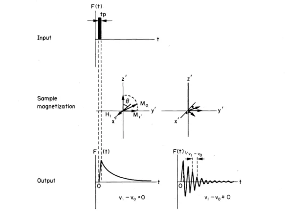 Fig.  13(a).  Pulse  interferogram  of  mutarotated  1-&#34;C-glucose  (60%  &#34;C).  22.63 MHz,  50 mg/ml  0 2 0,  proton  decoupled,  temperatufe:  3o•c, accumulation of 32  scans, pulse  width:  12 p.sec,  pulse interval:  0.4 sec