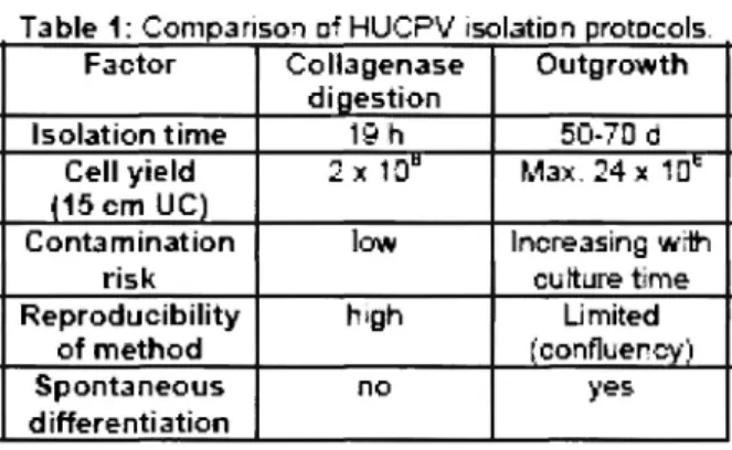 Table 1: Companson pf  H U C P V solution protocols  Factor  Collagenase  digestion  Outgrowth  Isolation time  19 h  50-70 σ  Cell yield  {15 cm UC)  2 χ 13&#34;  Max