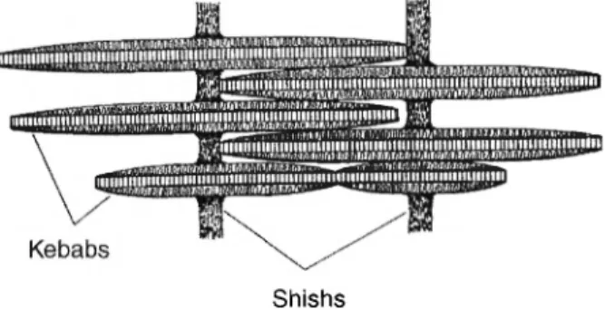 Abb. 1: Shish-Kebab-Struktur des  P E - H D (schematisch)  Ergebnisse 
