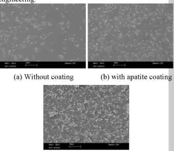 Figure 2: The ALP activity of osteoblast-like cells seeded on  PLLA  film without and with coating.