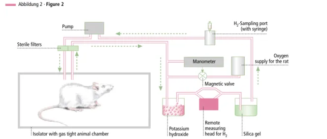 Abbildung 2 Schematische Darstellung des Isolators und des Lebenserhaltungssystems  zur Quantifizierung der Wasserstoff-Freisetzung durch gnotobiotische Ratten