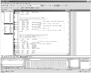 Abb. 1.9. Screenshot: SDK und Emulator KEIL µVision3.