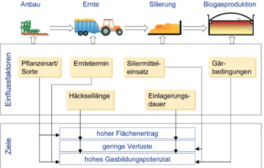 Abb. 4.4: Einflussfaktoren beim  Energiepflanzenan-bau für die  Biogaserzeu-gung