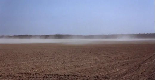 Abb. 4: Bodenerosion durch Wind auf einem gepflügten Feld am Südrand des Lössgebietes im Fläming