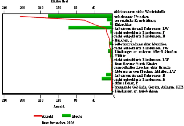 Abb. 6: Brandursachen nach Häufigkeit – Land Brandenburg 2006 –  (inklusiv Kleinstbrände &lt; 0,01 ha) 