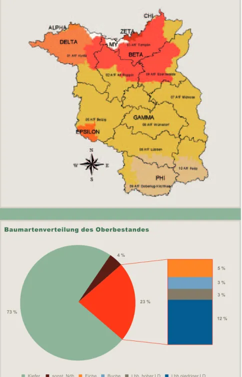 Grafik 4 Darstellung der  Baumartenverteilung des  Oberbestandes im  Gesamt-wald in Brandenburg [Quelle: Datenspeicher Wald  (DSW); Stand 01.01.2006]
