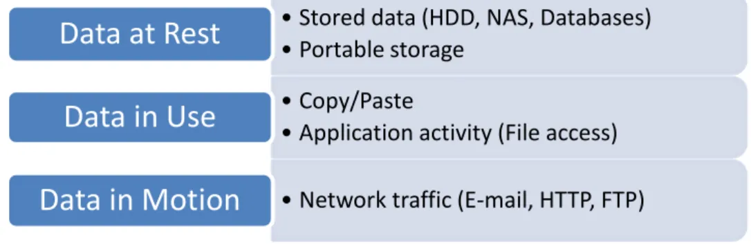 Figure 2: Data states in a DLP with examples in parentheses [4]. 