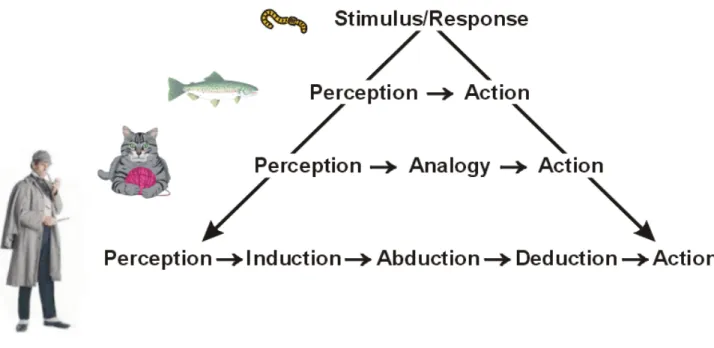 Figure 3:  Evolution of Cognition