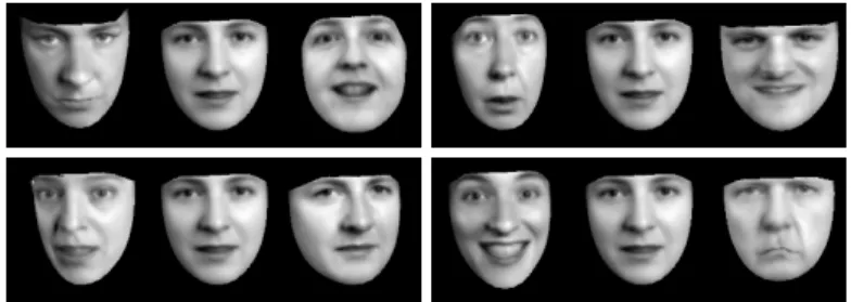 Fig. 1. First four modes of appearance variation (+/- 3 sd)                (3) where 