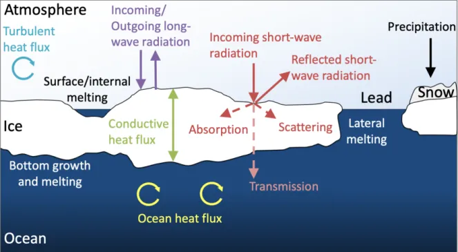 Figure 2.1: Schematic showing relevant mechanisms of sea ice thermodynamics (adapted from Perovich and Richter-Menge (2009); Lepp¨ aranta (2011))