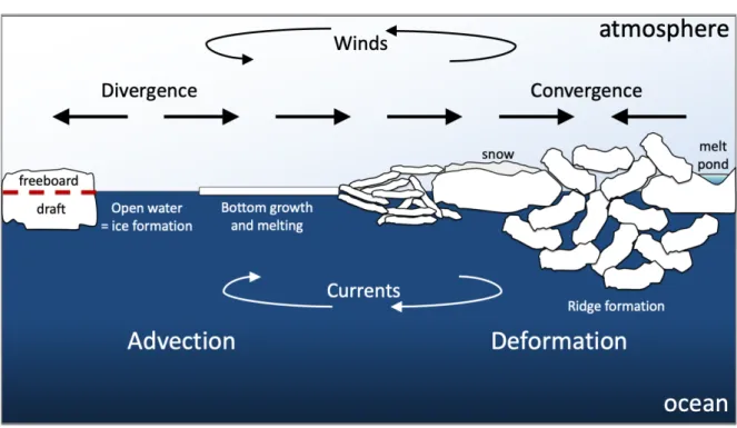 Figure 2.3: Schematic of the dynamic influences on the development of the sea ice thickness distribution (adapted from Haas and Druckenmiller, 2009)