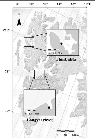 FIGURE 1 | Map of the Svalbard Archipelago with marked study areas, and the black points indicate the study sites Longyearbyen and Thiisbukta (Norwegian Polar Institute/https://geokart.npolar.no/).