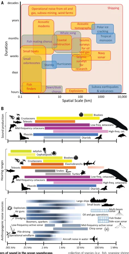 Fig. 2. Sources and animal receivers of sound in the ocean soundscape.
