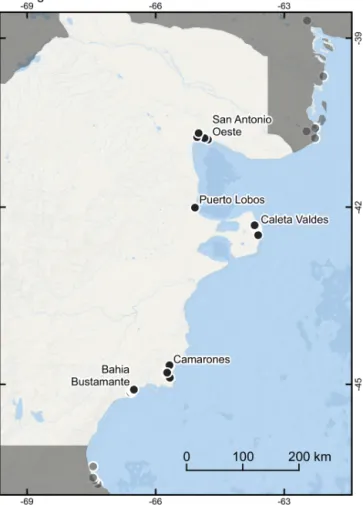 Figure 8. MIS 5 sea-level indicators in Río Negro and Chubut provinces, Argentina (black circles).