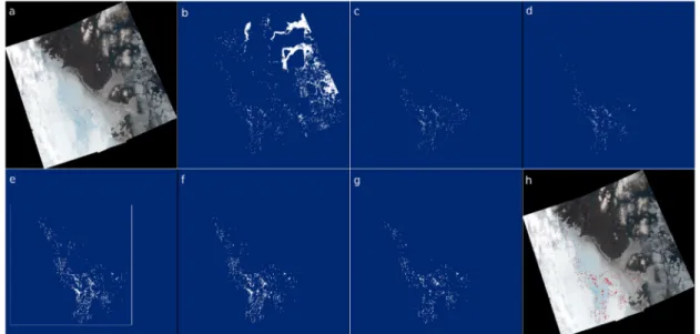 Figure 3. Postprocessing steps visualized by data of date 5 August 2019: (a) natural-color image (RGB, bands 4–3–2); (b) binary mask after thresholding; (c) binary mask cropped to the ablation area; (d) cropped mask after topographic shadow correction; (e)