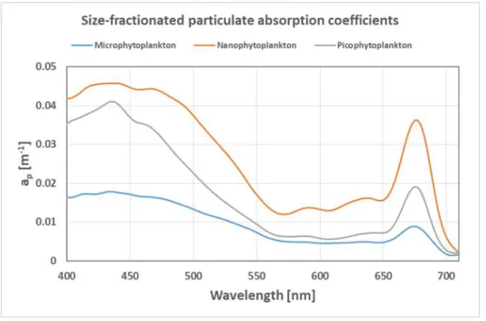 Fig. 5.1.3  Absorption coefficient spectra from different particle size fractions as data examples from the PSICAM