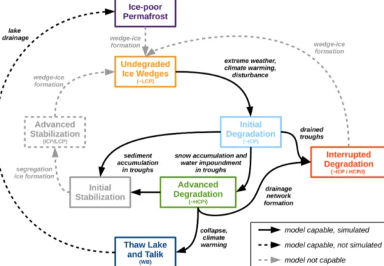 Figure 9. Schematic depiction of pathways of ice-rich permafrost landscape evolution as simulated within the presented model framework.