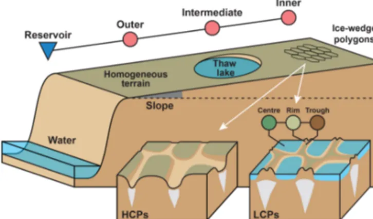 Figure 1. Schematic illustration of ice-rich permafrost lowlands featuring spatial heterogeneity on different scales