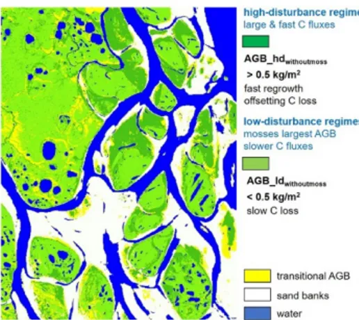 Fig. 1 Synoptic mapping of Above Ground Biomass  (AGB)  stocks  and  fluxes  derived  from  Sentinel-2  Land Cover Classification of the Central Lena Delta,  Siberia (state of August 2018)