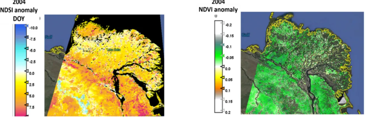 Fig. 1 Left: MODIS NDSI 2004 positive anomaly vs the mean of last 8-Day Of the Year (DOY) period with  snow (NDSI &gt; 0.4 indicating snow coverage)