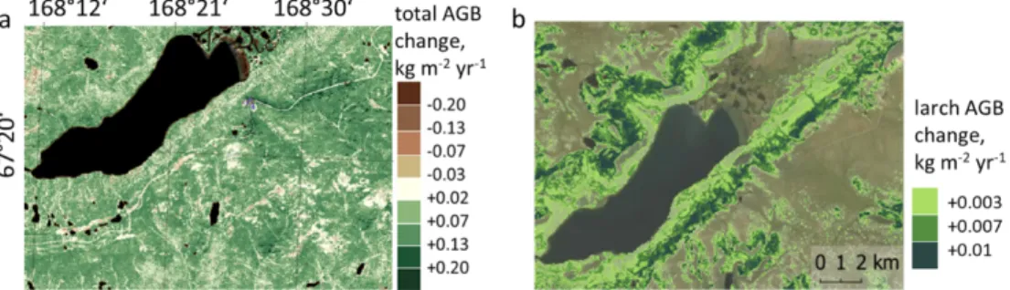 Fig. 1. Recent (2001-2016) above ground biomass (AGB, kg m -2 ) change (a) and potential future (2020- (2020-2170, RCP 8.5) tree AGB change (b) at the northern larch treeline border