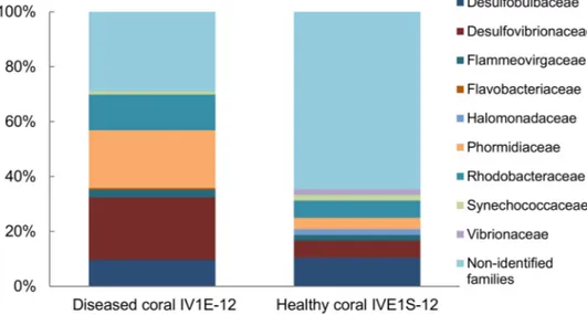 Figure 4. Relative composition (% total) of identified bacterial families represented by 16S rDNA sequences from apparently diseased (IV1E-12) and healthy coral (IVE1S-12) collected in mucus slurry from the surface of the massive starlet coral Siderastrea 