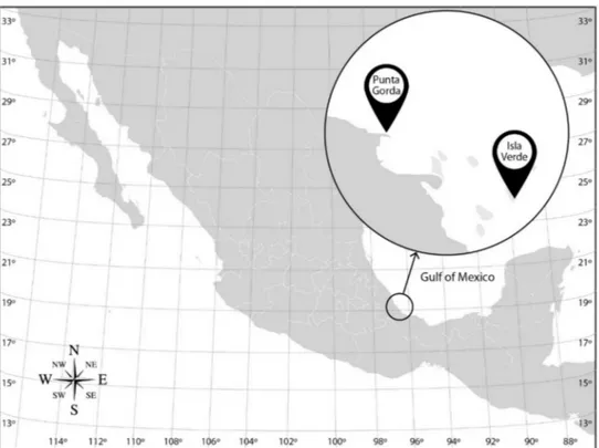 Figure 1. Sampling sites for bacterioplankton and bacteriobenthos from the Veracruz Reef System (VRS) on the Gulf of Mexico coast.
