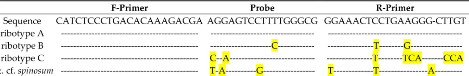 Table 3. Sequence alignment of the Az. spinosum specific qPCR primers and probe with the respective ribotype homologous.