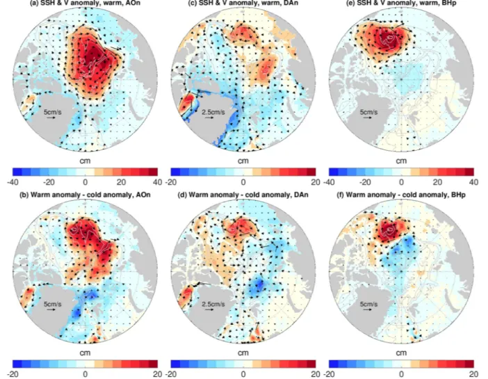 Figure 11.  (a) Anomalies of sea surface height (SSH, color patches) and upper 150 m velocity (arrows) in the perturbation experiment with negative Arctic  Oscillation (AO) forcing in 2019 (the last year of the warm period) relative to the control simulati