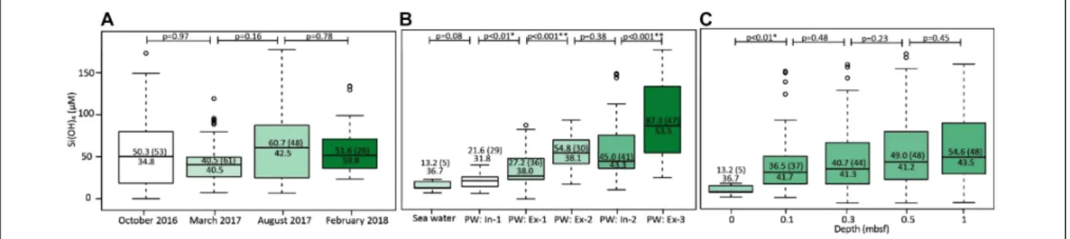 FIGURE 6 | Boxplots of Si(OH) 4 concentrations (A) for the four campaigns, (B) along the cross-shore transects, and (C) at sampled sediment depths (0 m represents seawater)