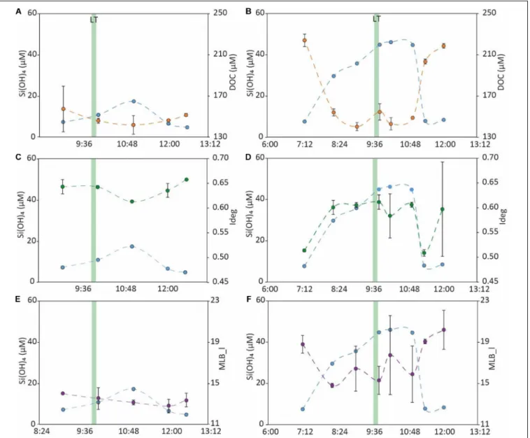 FIGURE 8 | Temporal trends in concentrations of Si(OH) 4 , a well-known SGD tracer (Oehler et al., 2019) [light blue, (A–F)] and DOC [orange, (A,B)] and magnitudes of Ideg [green, (C,D)] and MLB_l [purple, (E,F)], in runnel water samples collected in March