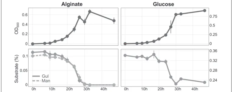 FIGURE 2 | Growth of Maribacter dokdonensis 62–1 with alginate compared to glucose as sole carbon source over a period of 48 h, illustrated by optical density (upper panels) and substrate utilization as determined by HPLC (lower panels)