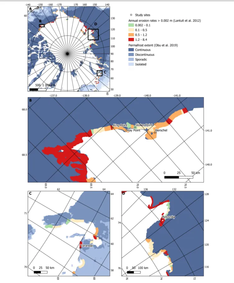 FIGURE 1 | (A) Location of study areas, annual erosion rates (source: Lantuit et al., 2012) and permafrost zones (source: Obu et al., 2019b)
