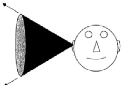 Abbildung 2.3: Cone of confusion [21]