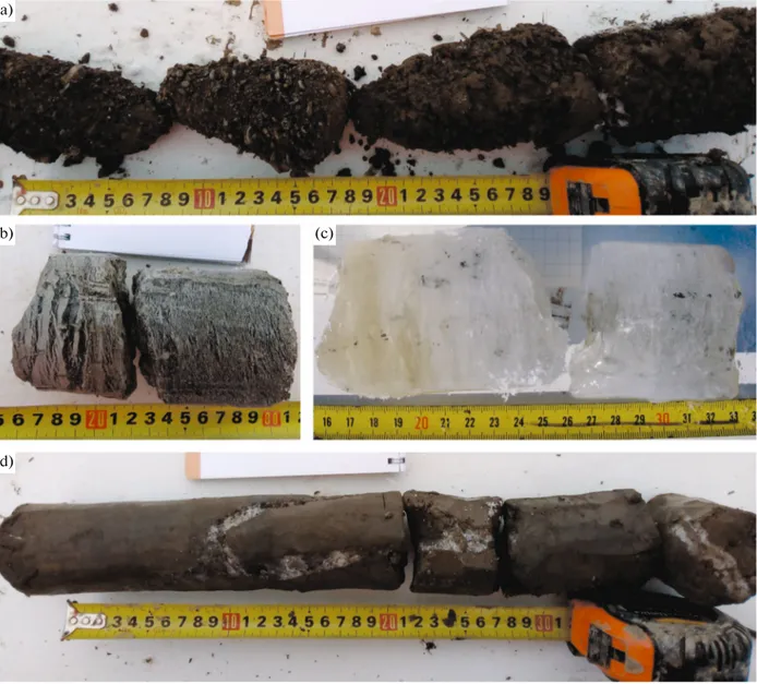 Fig. 7. Core samples of frozen sediments: (a) gravel of massive cryogenic structure from a depth of 2.8–3.2 m (well 15), (b) ice- ice-oversaturated deposits from a depth of 3.4–3.6 m (well 16), (c) injection ice from a depth of 17.5–17.7 m (well 9), and (d