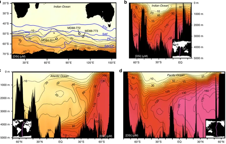 Fig. 1 The DSi distribution surrounding the core locations and within the major oceanic basins