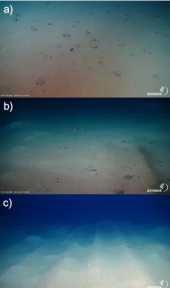 Fig.  1. Representative  pictures  of  the  sediments  at  (a)  reference  sites,  (b)  outside  plough  tracks,  and  (c)  inside  plough  tracks  taken  during  the  Sonne  SO242-2 cruise to the DISCOL site in 2015